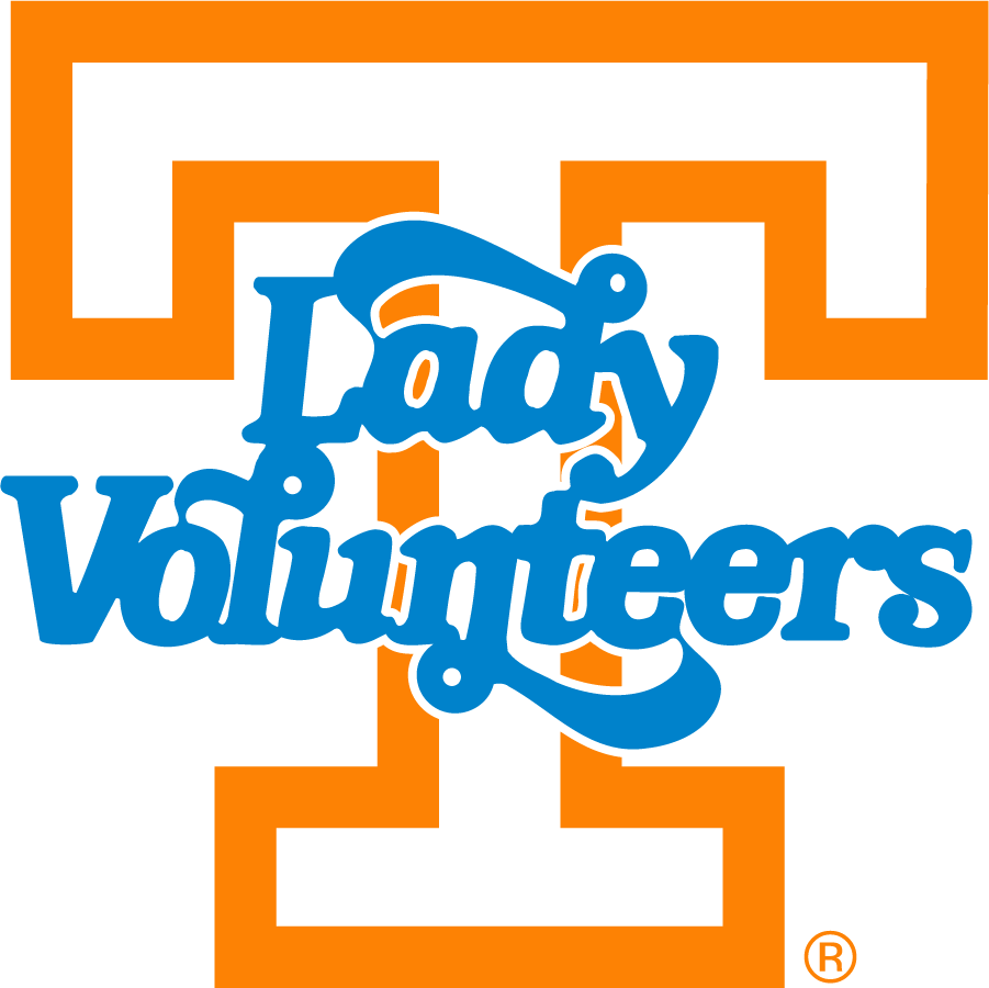 Tennessee Volunteers 1976-2015 Alternate Logo iron on transfers for T-shirts